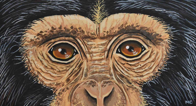 Melanie Conrad Title: Chimp (Eyes I)