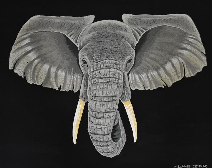 Melanie Conrad Title: Head of the Herd