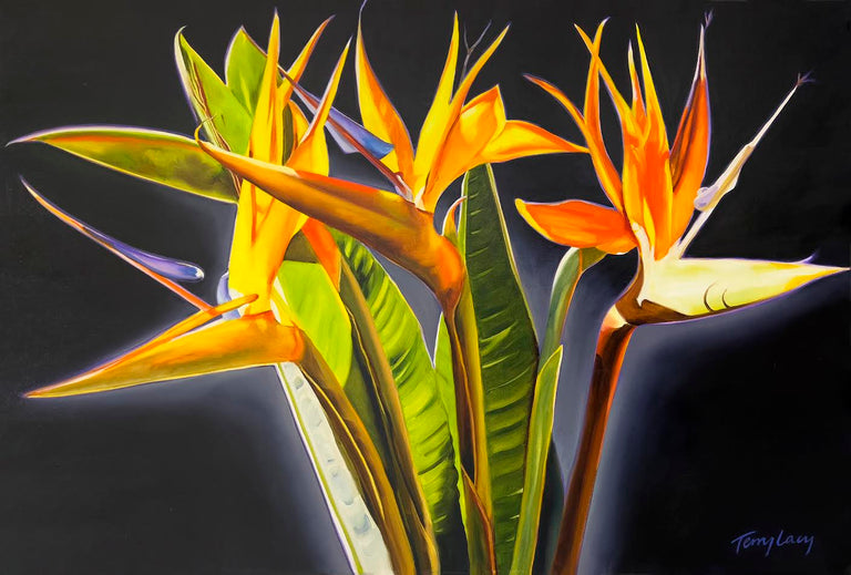 Terry Lacy Title: Birds of Paradise