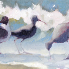 Coakley Brown Title: Gull and Willets