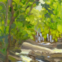 Coakley Brown Title: Late Afternoon at Bryan Park Rocks