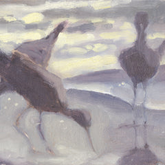 Coakley Brown Title: Three Willets at Sunrise
