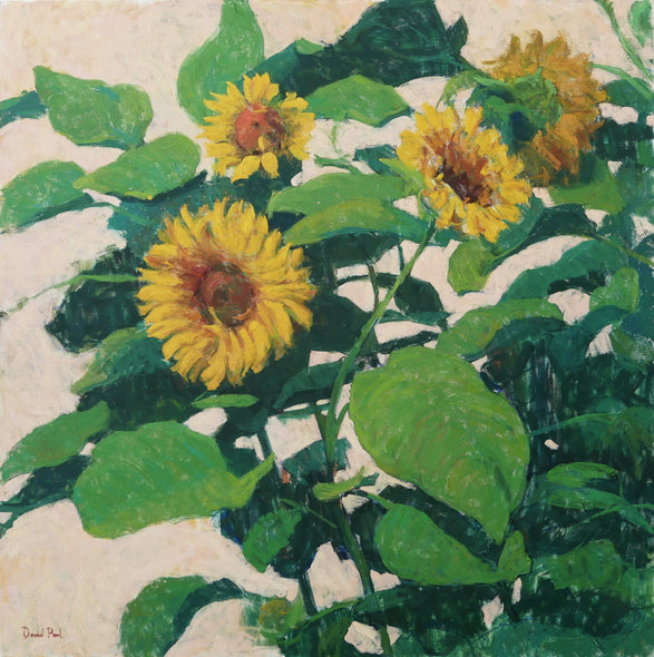 Elsea, David Title: Sunflowers