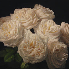 Dee Campbell Title: White Roses