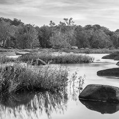 David Everette Title: James River Waterscape