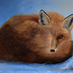 Jan Priddy Title: Cozy Fox