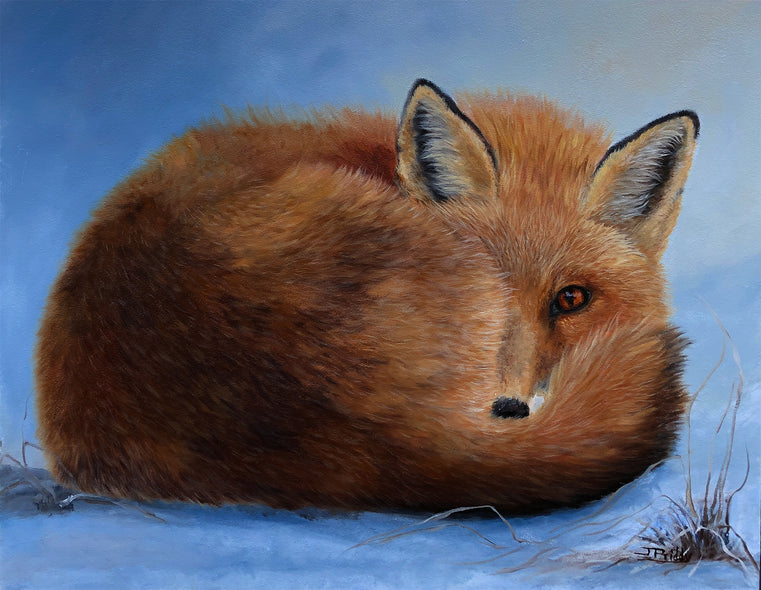 Jan Priddy Title: Cozy Fox