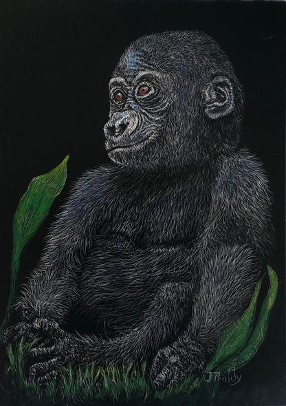 Jan Priddy Title: Baby Gorilla