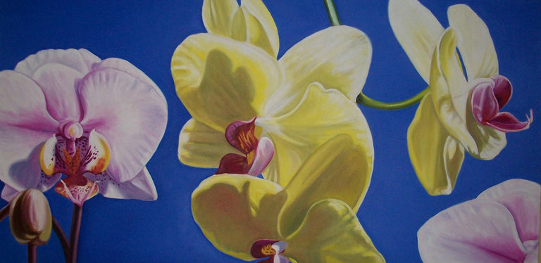 Juli Schuszler Title: Kaplan Orchids