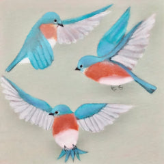 Kathleen Westkaemper Title: Bluebirds Flying