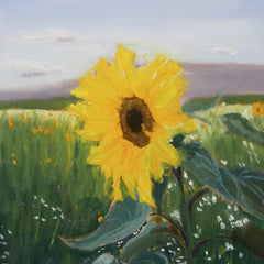 Engel, M.J. Title: Sunflower in Field