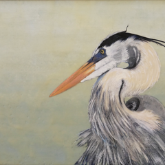 Martha Kroupa Title: Great Blue Heron