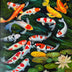 Sandra Nardone Title: Koi Among the Lilies