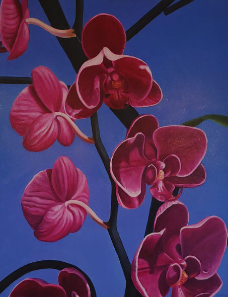 Juli Schuszler Title: Key West Orchid