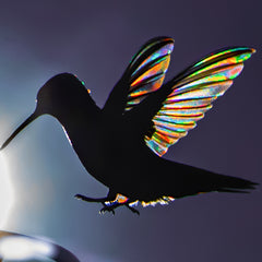 Stan Maupin Title: Hummingbird Prisms