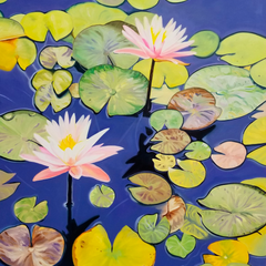 Terry Lacy Title: Water Lilies