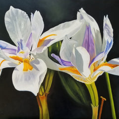 Terry Lacy Title: Wild Iris