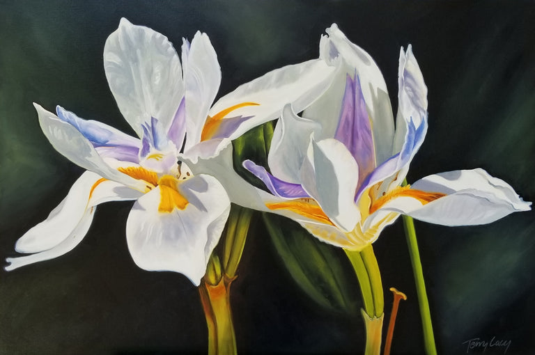 Terry Lacy Title: Wild Iris