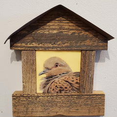 Martha Kroupa Title: Mourning Dove Bird House