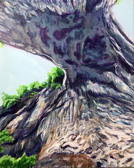 Donna Frostick Title: Beneath Natural Bridge 2